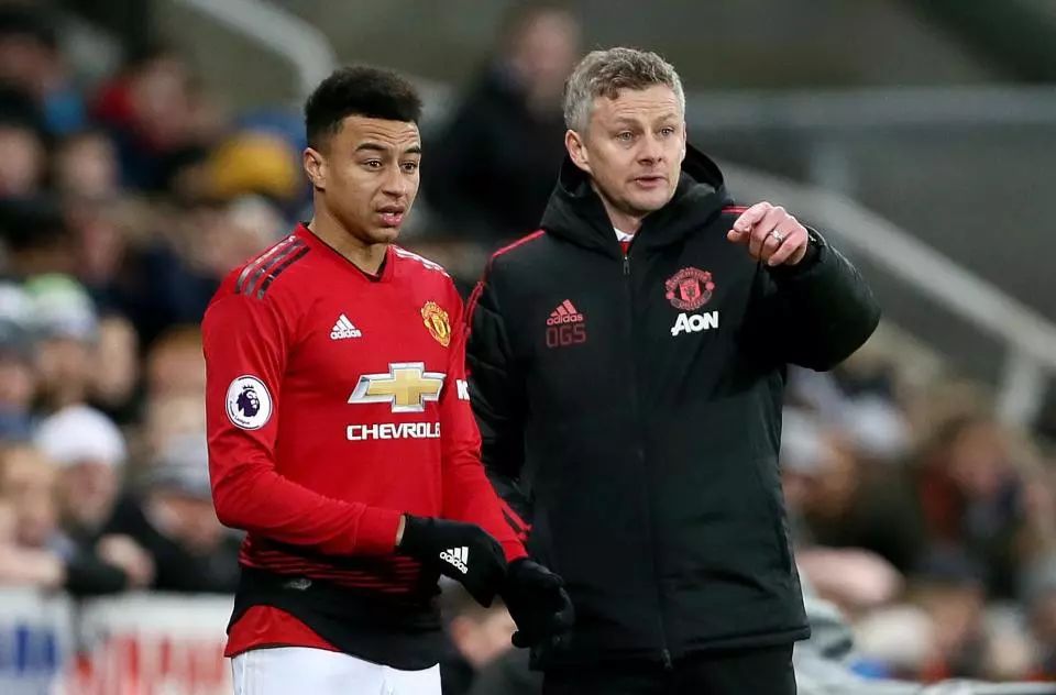 赛场后以惊 赛场后以惊