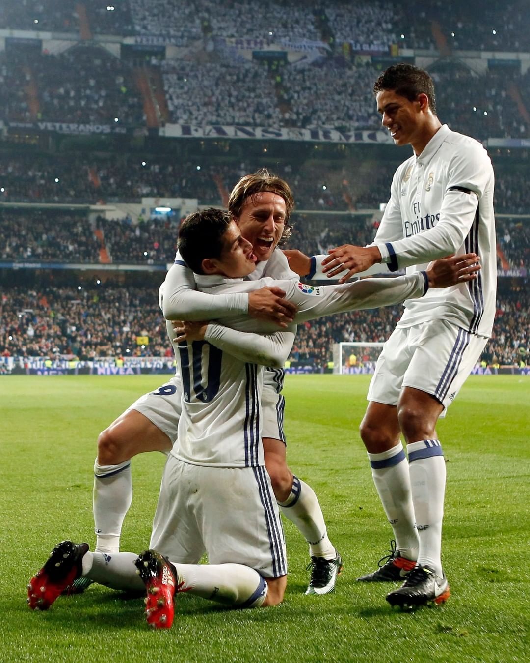 在博洛尼亚 在博洛尼亚